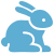 Cunicoli