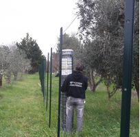 Montaggio e Posa in opera Arredi interni ed Esterni di ogni genere - 10