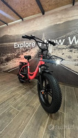 FAT BIKE ENGWE L20 250W 48V 13AH - 3
