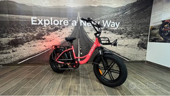 FAT BIKE ENGWE L20 250W 48V 13AH - 4