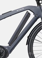 EBIKE ENGWE MAPFOUR N1 PRO 250w CARBON NUOVO - 2