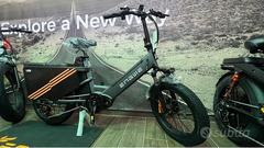 EBIKE ENGWE LE20 CARGO 250W 48V NUOVO - 2