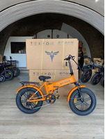 FAT BIKE PIEGHEVOLE EP2 PRO 750W 48V NUOVO - 3