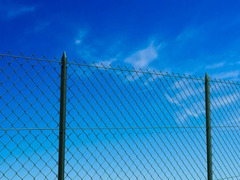 25mt-ROTOLO RETE METALLICA ZINCATA PLASTIFICATA 'MAGLIA SCIOLTA'- TIPO STANDARD - H 175 cm - 2