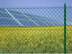 25mt-Rotolo Rete Metallica Zincata Plastificata 'Maglia Sciolta'- Tipo Standard - H 200 cm - 2