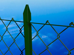 Paletto Recinzioni a 'T' in Ferro Plastificato Verde-Sezione mm35X35X3,5-Altezza295 cm - 2