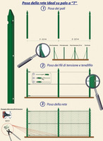 Paletto Recinzioni a 'T' in Ferro Plastificato Verde-Sezione mm35X35X3,5-Altezza295 cm - 3