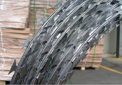 Concertina Zincata Diametro Interno: 60 cm per Recinzioni in Rete Metallica Matassa da 10-12 Mt - 4