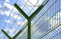 Concertina Zincata Diametro Interno: 60 cm per Recinzioni in Rete Metallica Matassa da 10-12 Mt - 5