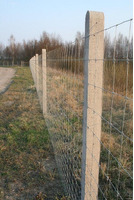 50mt- Rotolo Rete Metallica Pastorale Zincata - Tipo  Standard-a Maglia Annodata- H 120 cm - 5