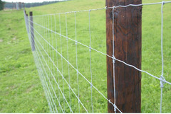 50mt- Rotolo Rete Metallica Pastorale Zincata-Tipo  Standard-a Maglia Annodata- H 140 cm - 5