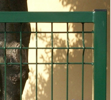 Cancello  Medium Pedonale - con Rete  50X200X5 mm - Telaio 35/40 mm - Dimensione: cm100X150 h - Peso - 2