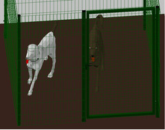 Recinto-Box Modulare per Cani in Ferro Zincato e Verniciato Verde-con Pali a Interrare - cm 200x200x - 2