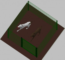 Recinto-Box Modulare per Cani in Ferro Zincato e Verniciato Verde-con Pali a Interrare - cm 200x200x - 2