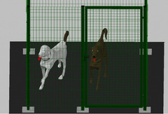 Recinto-Box Modulare per Cani in Ferro Zincato e Verniciato Verde-con Pali a Tassellare - cm 200x200 - 3