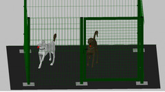 Recinto-Box Modulare per Cani in Ferro Zincato e Verniciato Verde-con Pali a Tassellare - cm 200x200 - 2