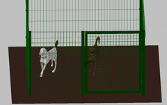 Recinto-Box Modulare per Cani in Ferro Zincato e Verniciato Verde-con Pali a Interrare - cm 200x200x - 2