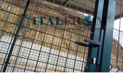 Box Recinto Modulare per Cani in Ferro Zincato Plastificato Verde-con Tetto in Lamiera - mt 2x2x1,8  - 2