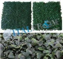 Siepe Finta Artificiale Formato Piastrella cm 50x50 con Foglie di Bosso Sintetica