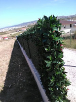 Siepe Finta Artificiale Formato Piastrella cm 50x50 con Foglie di Photinia Sintetica - 2