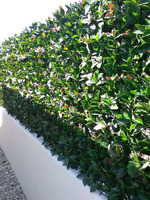 Siepe Finta Artificiale Formato Piastrella cm 50x50 con Foglie di Photinia Sintetica - 3