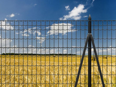 Paletto Recinzioni a 'T' in Ferro Plastificato Antracite-Sezione mm30X30X3,5-Altezza 125 cm - 2