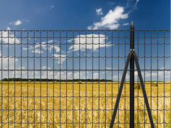 Paletto Recinzioni a 'T' in Ferro Plastificato Antracite-Sezione mm35X35X4-Altezza 225 cm - 2