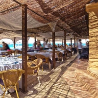 Arella Ombreggiante Canniccio Cannette in Bambù 200x300 cm - 4