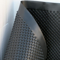 Membrana Bugnata Impermeabilizzante in Polietilene ad Alta Densità H 2x15 m - Italfrom - 3