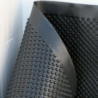 Membrana Bugnata Impermeabilizzante in Polietilene ad Alta Densità H 2x20 m - Italfrom - 3