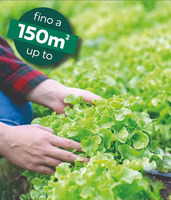 Kit Completo Veggie-Garden per l'Irrigazione a Goccia 150 mq Irritec - 2