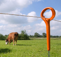 Picchetto di Messa a Terra Pigtail Arancio GALLAGHER H 1,00 m per Recinzioni Elettriche Confezione 1 - 4