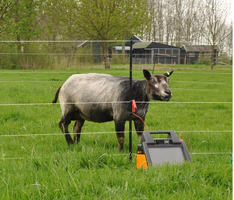 Kit SmartFence 2.0 GALLAGHER per Recinzioni Elettriche Confezione 4 Pz. - 2