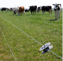 Filo Zinco-Alluminio-Magnesio HT ø1,8 mm - 1250 m GALLAGHER per Recinzioni Elettriche - 2