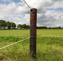 GALLAGHER Equifence Bianco/Terra ø7,5 mm - 20 Kg - 250 m per Recinzioni Elettriche - 2