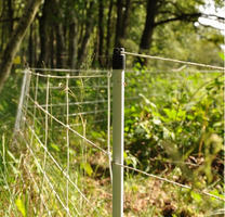 EuroNetz Rete per Cinghiali Bianca 75/1-14/B-50 m GALLAGHER per Recinzioni Elettriche - 3