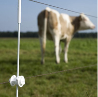 Isolatore Bianco per Picchetto Tondo 6/14 mm Confezione 10 Pz. GALLAGHER per Recinzioni Elettriche - 3