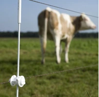 Isolatore Bianco per Picchetto Tondo 6/14 mm Confezione 10 Pz. GALLAGHER per Recinzioni Elettriche - 3