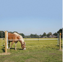 Cancello in Metallo Elettrificabile Regolabile da 2,5 fino a 4,5 m GALLAGHER per Recinzioni Elettric - 4