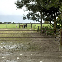 Kit Cancello per Recinto a 4 Nastri 40 mm Color Terra L.6 m GALLAGHER - 2