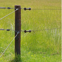 Ancora per Maniglia 2 Vie Nero Confezione 5 Pz. GALLAGHER per Recinzioni Elettriche - 2