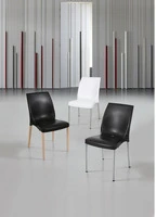 Set 4 Sedie Cindy con Gambe in Legno Design da Giardino Cucina Bar Ristorante Poltrona Sedia in Poli - 2