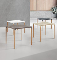 Tavolo Ibiza con Gambe in Legno Design da Giardino Cucina Bar Ristorante con Top in Polipropilene Va - 2