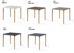 Tavolo Algarve con Gambe in Legno Design da Giardino Cucina Bar Ristorante con Top in Polipropilene  - 2