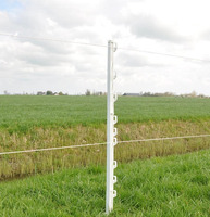 Picchetto di Messa a Terra Vario GALLAGHER H 1,00 m Colore Bianco/Terra per Recinzioni Elettriche Co - 2