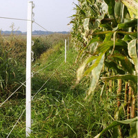 Picchetto di Messa a Terra Vario GALLAGHER H 1,00 m Colore Bianco/Terra per Recinzioni Elettriche Co - 4