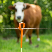 Picchetto di Messa a Terra Pigtail GALLAGHER H 1,00 m per Recinzioni Elettriche Confezione 10 Pz. - 3