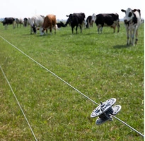 Filo Zinco-Alluminio-Magnesio HT ø1,8 mm - 1250 m GALLAGHER per Recinzioni Elettriche - 2