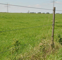 Filo Zinco-Alluminio-Magnesio MT ø1,8 mm - 10 Kg - 500 m GALLAGHER per Recinzioni Elettriche Bovini  - 2