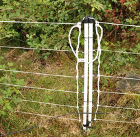 EuroNetz Rete per Cinghiali Bianca 75/1-14/B-50 m GALLAGHER per Recinzioni Elettriche - 2